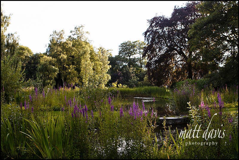 Matara wedding photos of beautiful gardens